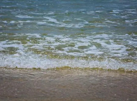 Bari Готель Коніль-де-ла-Фронтера